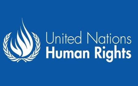 United Nations Human Rights